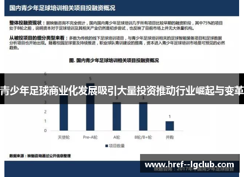 青少年足球商业化发展吸引大量投资推动行业崛起与变革